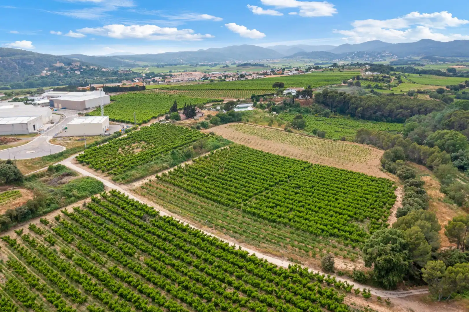 Casa rústica amb piscina en venda a Carrer de la Serra de Dalt 15, imagen 9