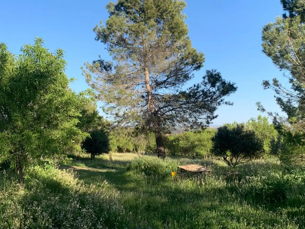 Terreni e lotti in vendita a Carrascosa, imagen 20