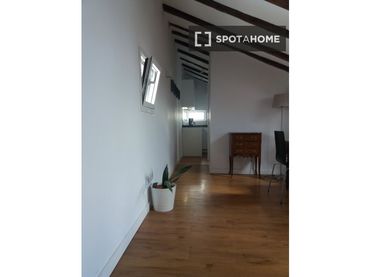 Pis de lloguer a Centro