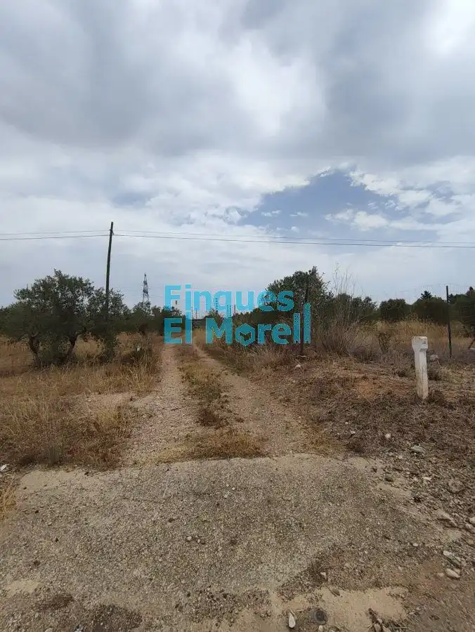 Finca rústica en venda en Constantí