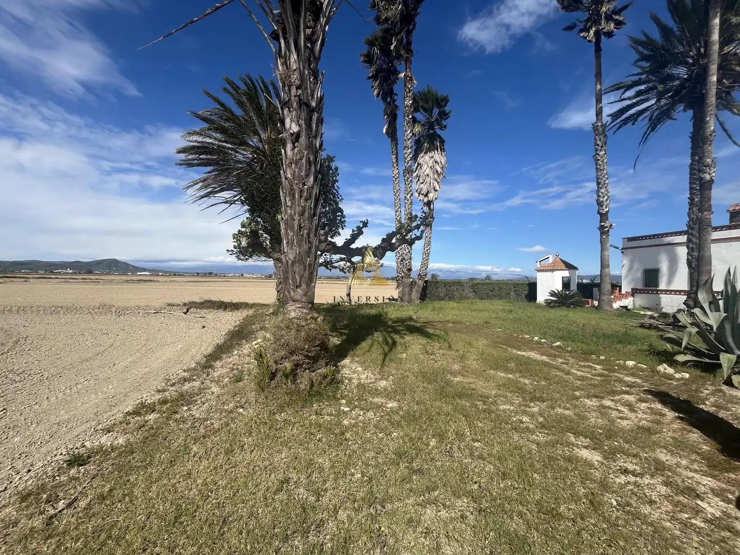 Detached house for sale in Eucaliptus- Poble Nou del Delta, imagen 10