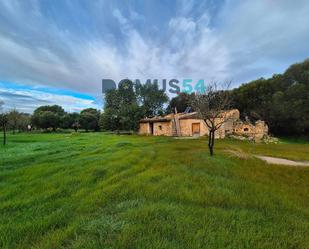 Land for sale in Búger