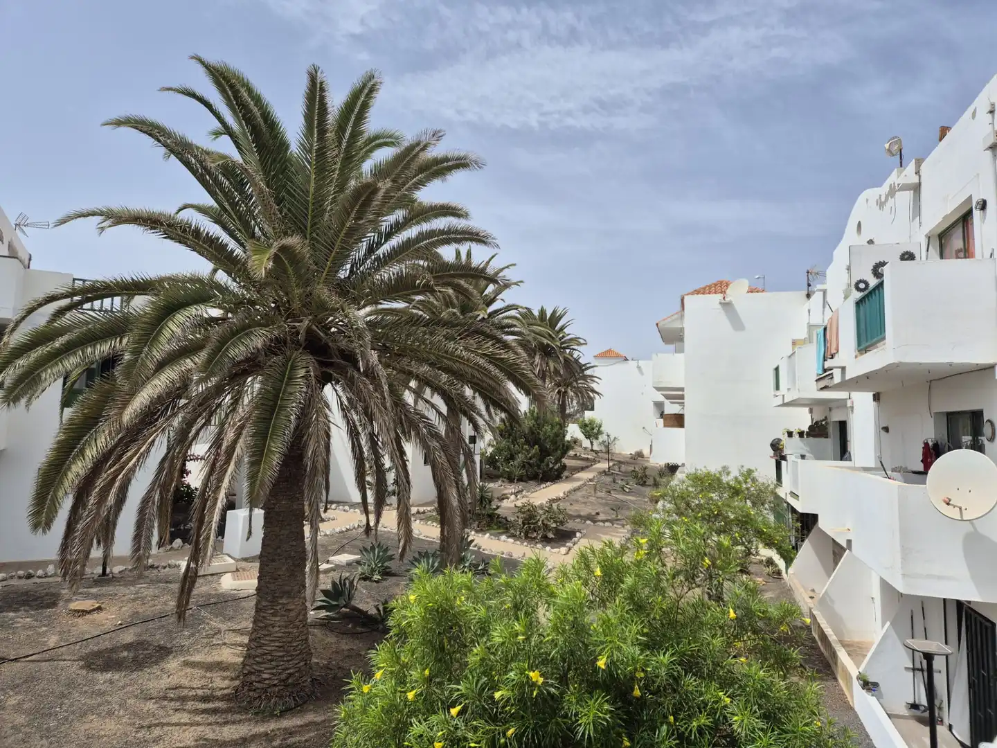 Apartamento con piscina en venta en Calle Artesano Paquito Batista, imagen 8