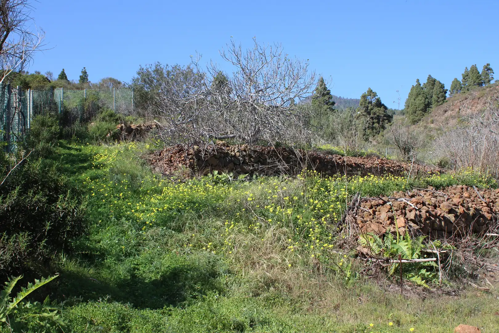 Rustikales Grundstück zum Verkauf in Machado - Las Barreras, imagen 27