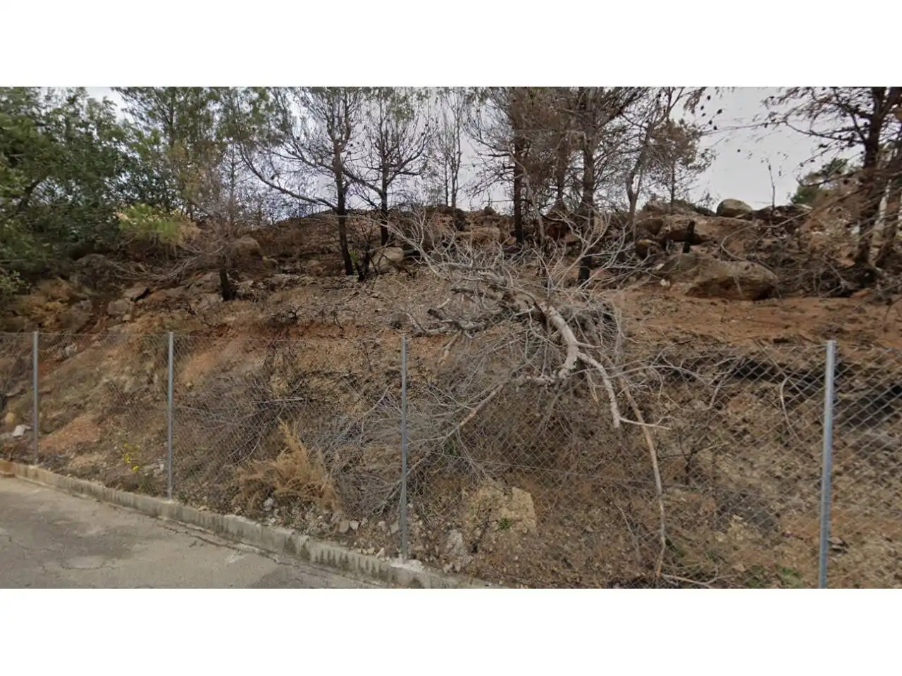 Terreno residencial en venta en Calle Cedro 9, imagen 6