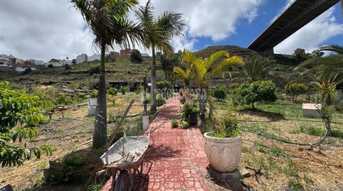 Foto 5 de Finca rústica en venda a Tenoya, Las Palmas de Gran Canaria