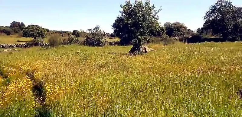 Terreni e lotti in vendita a Aldea del Cano, imagen 3