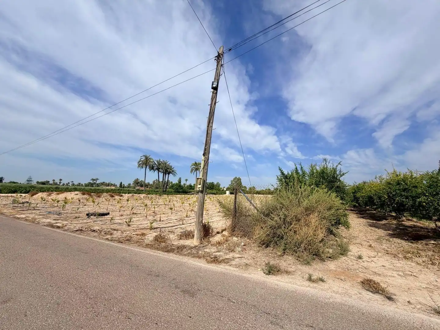 Houses for sale in Elche / Elx