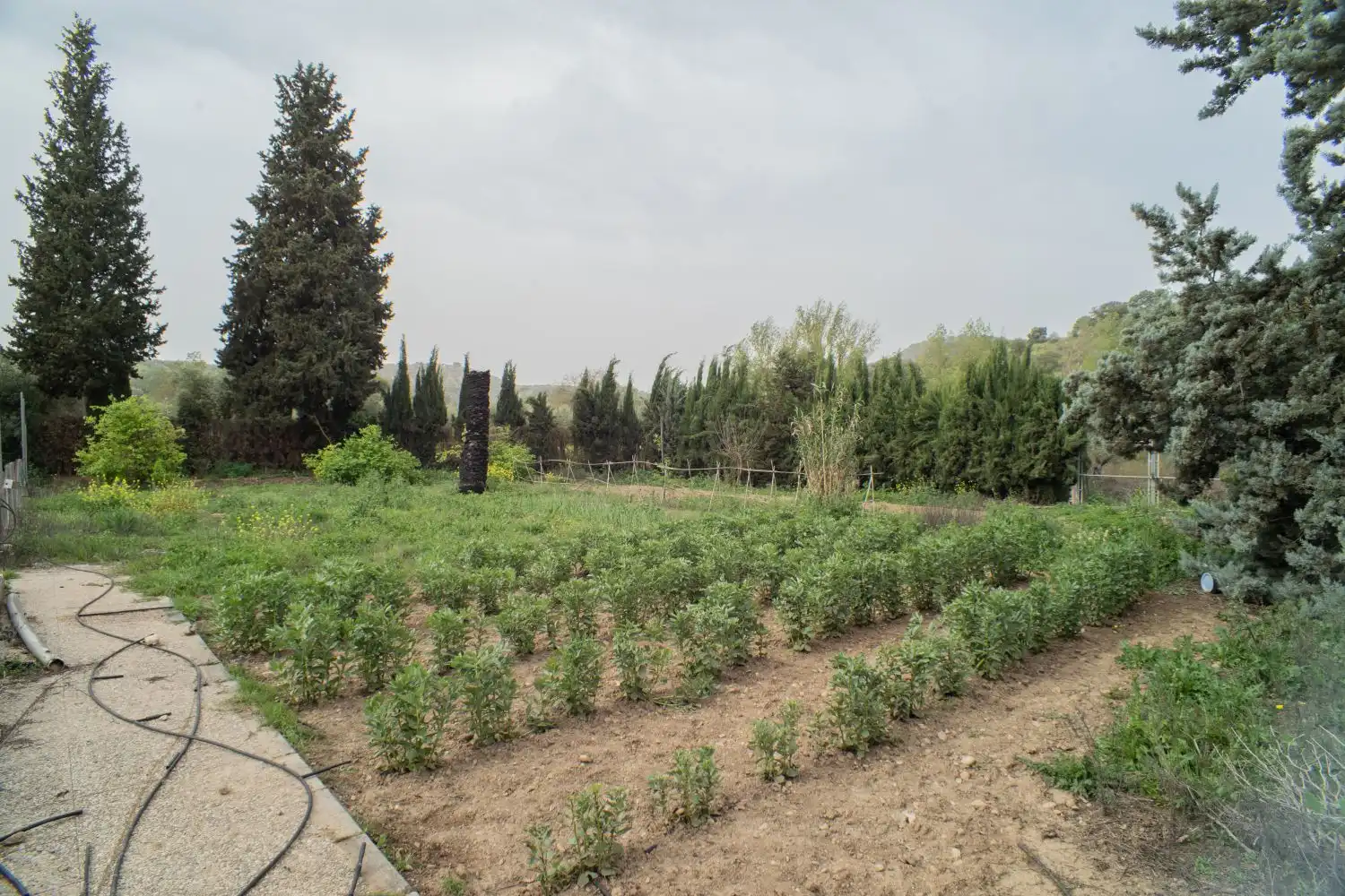 Jardí de Casa o xalet en venda en Loja amb Jardí privat, Terrassa i Piscina