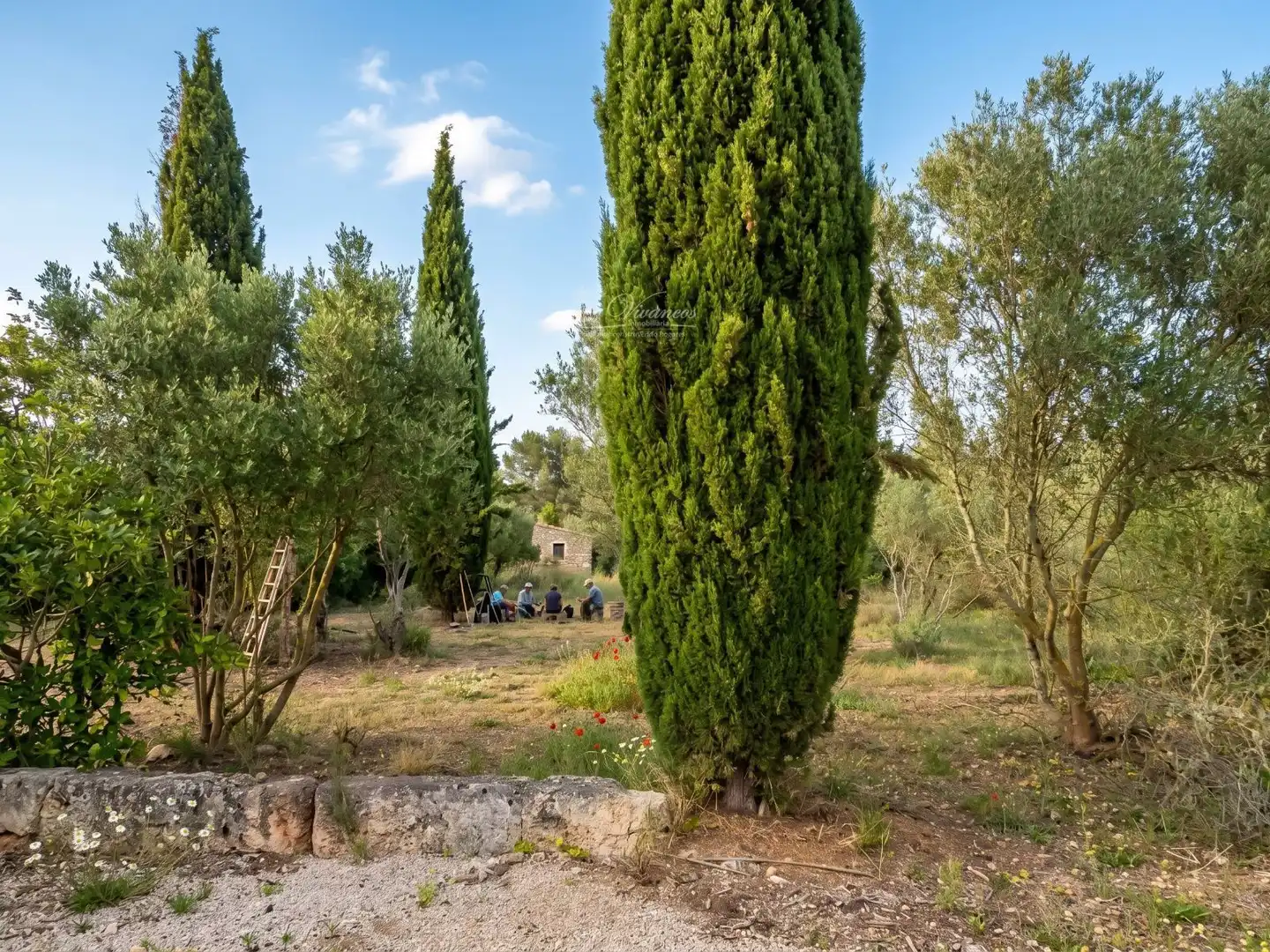Terreno en venta en Llevant