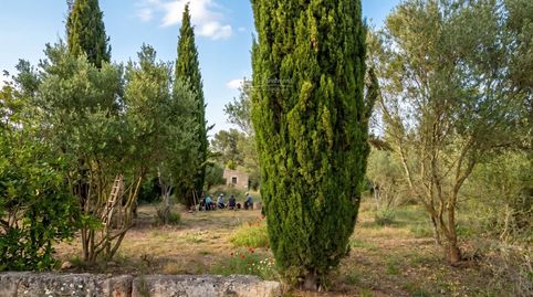 Foto 3 de Terreno en venta en Calle de Orient, Son Malferit, Palma de Mallorca