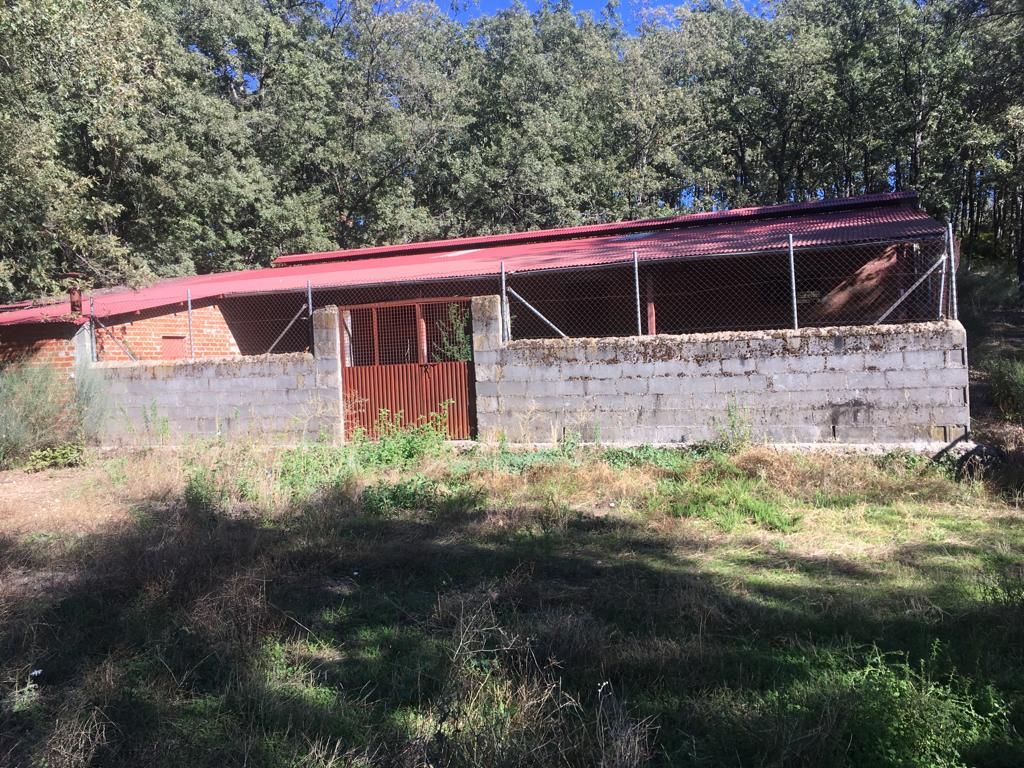 Exterior view of Box room for sale in Jarandilla de la Vera