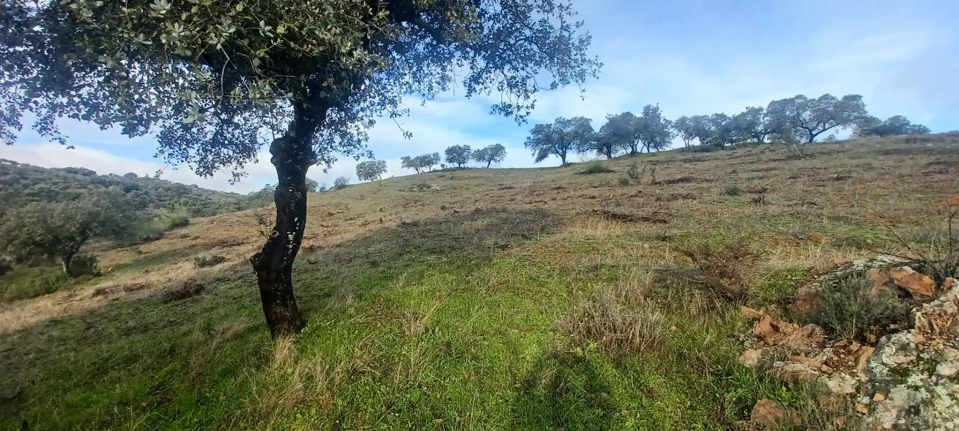 Terreni e lotti in vendita a Cazalla de la Sierra, imagen 48