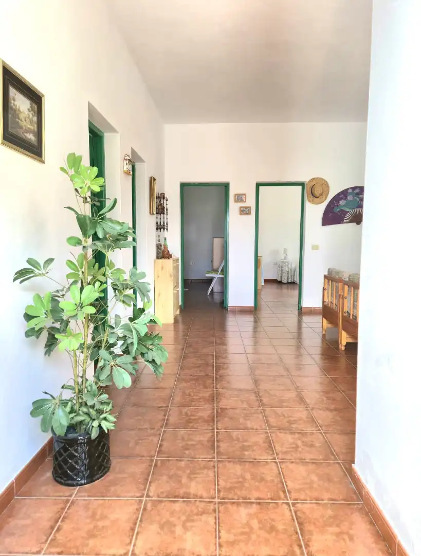 Casa o xalet en venda a Calle Antoñita Melian, 8, La Oliva pueblo