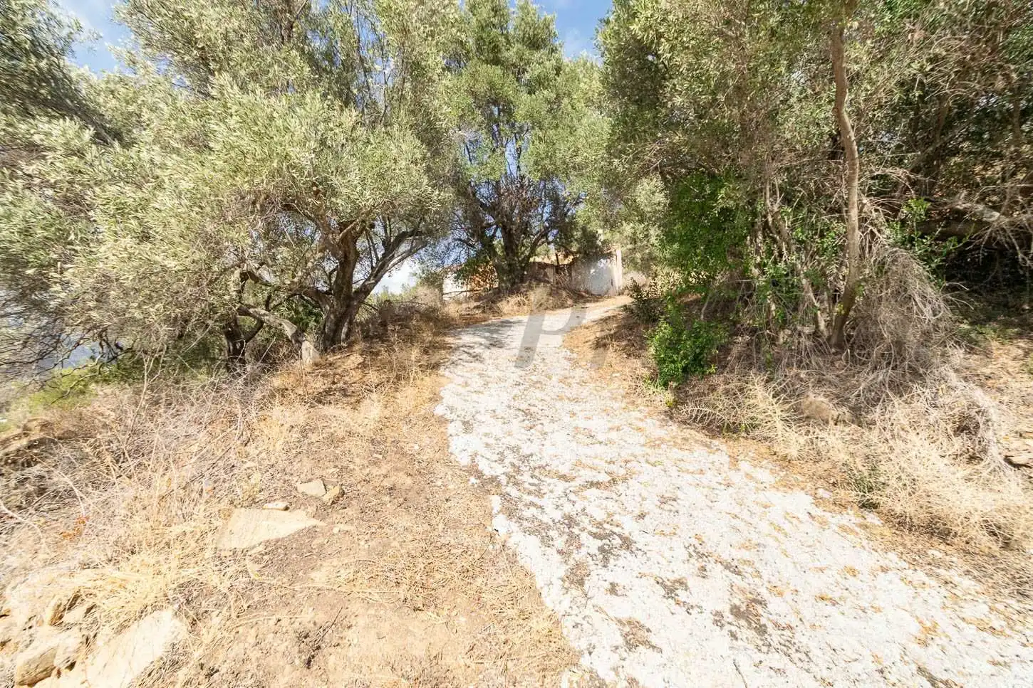 Terreno rústico en venta en Torrox Pueblo, imagen 3