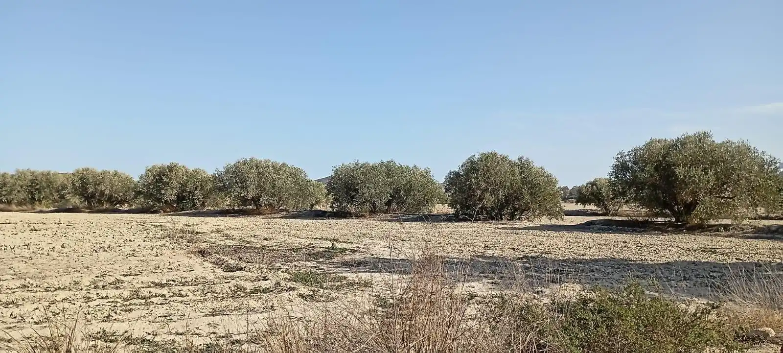 Maison avec jardin à vendre à Mojácar Pueblo, imagen 37