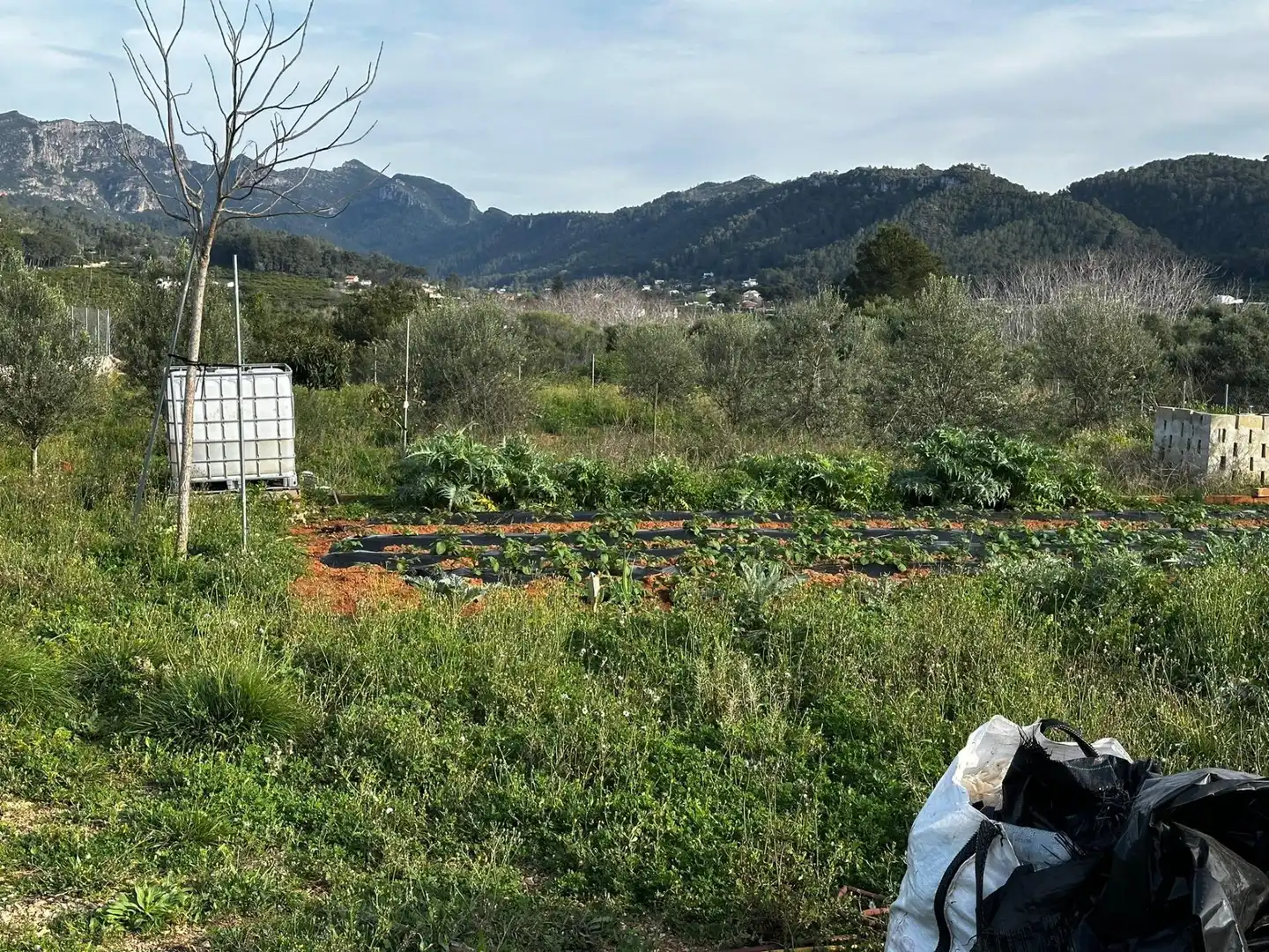 Terreny rústic en venda a Urbanitzacions i Pedanies Nord, imagen 3