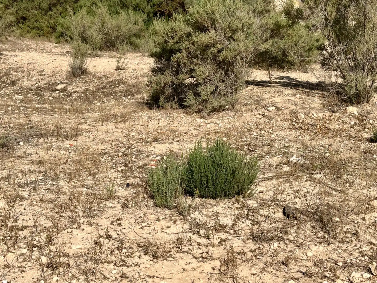 Residencial en venta en Elche de la Sierra