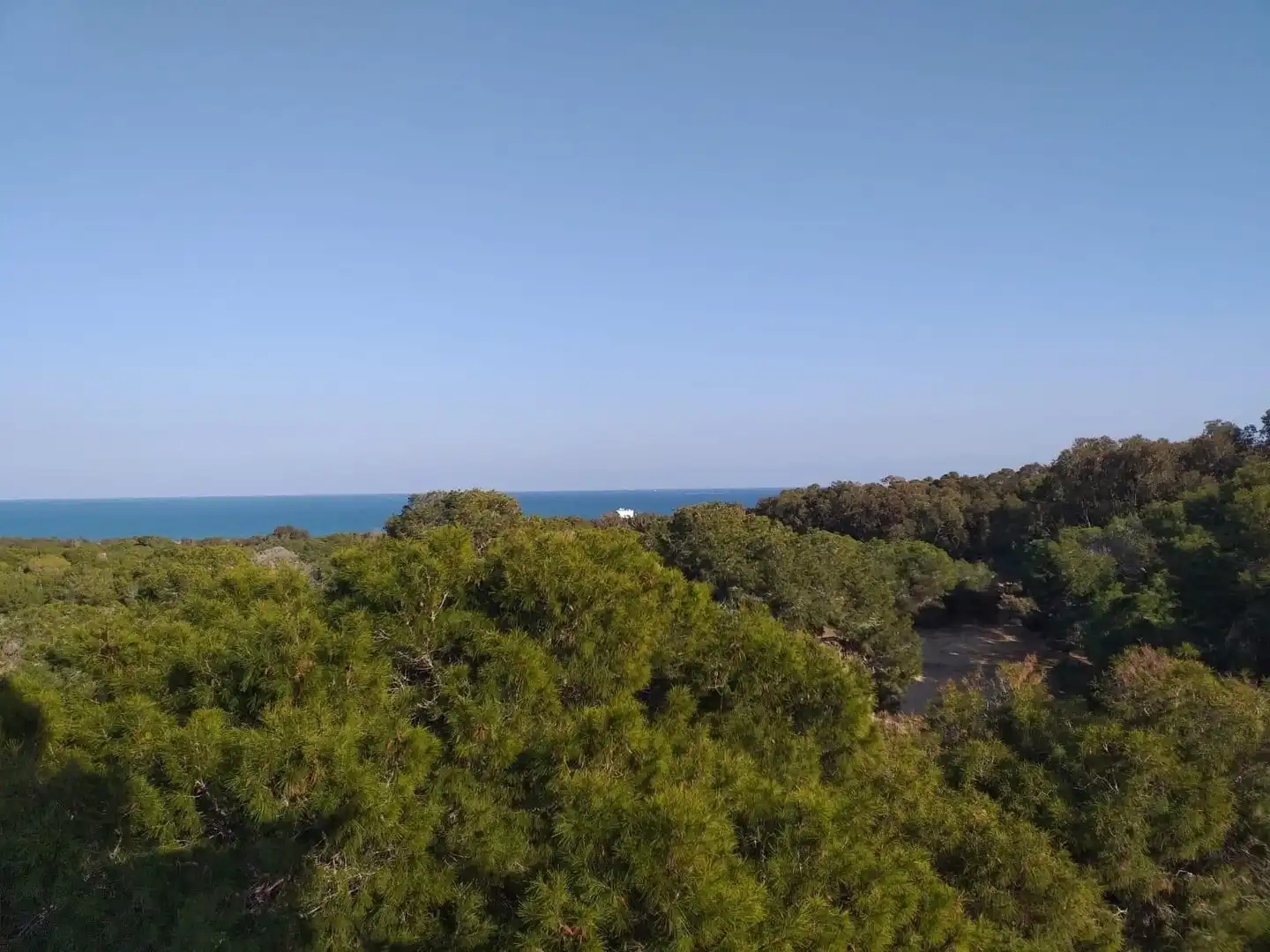 Penthouse mit Pool zum Verkauf in Carrer, imagen 39