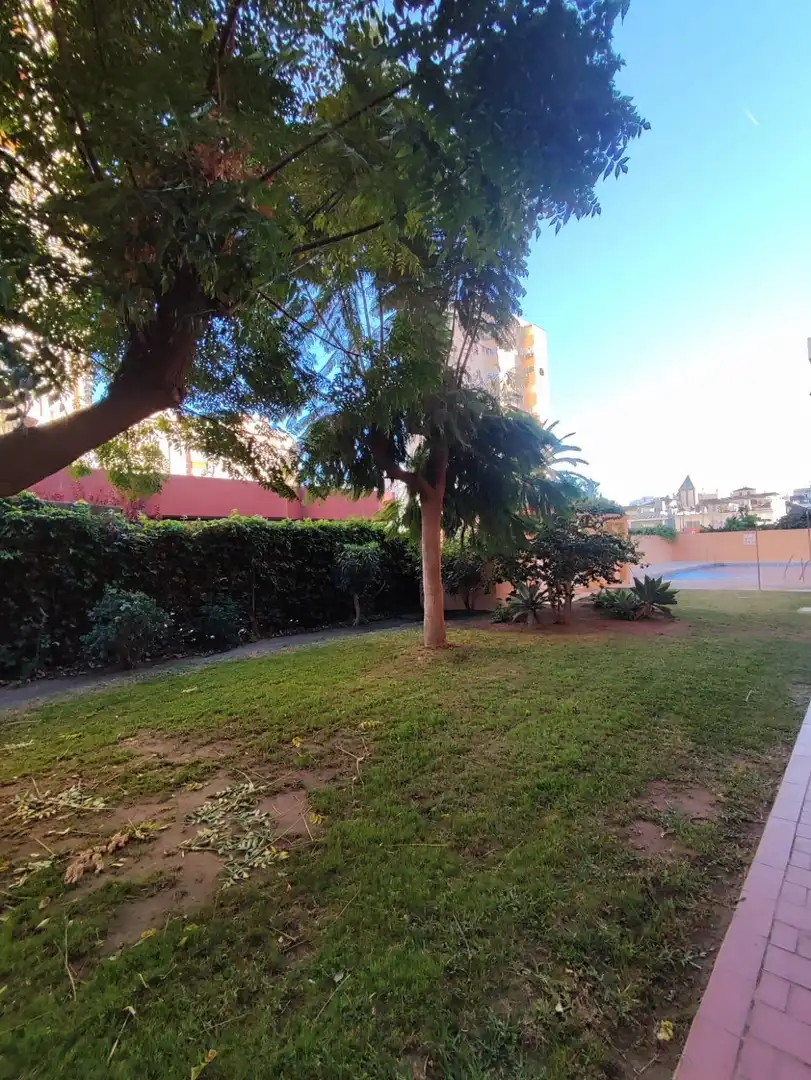 Apartment with pool for sale in Centro ciudad, imagen 23