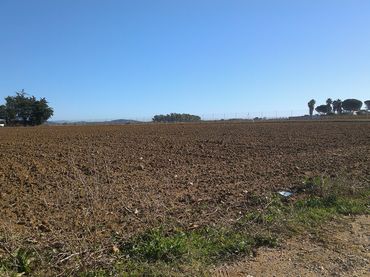 Terreno rustico in vendita a Pelagatos - Pago del Humo