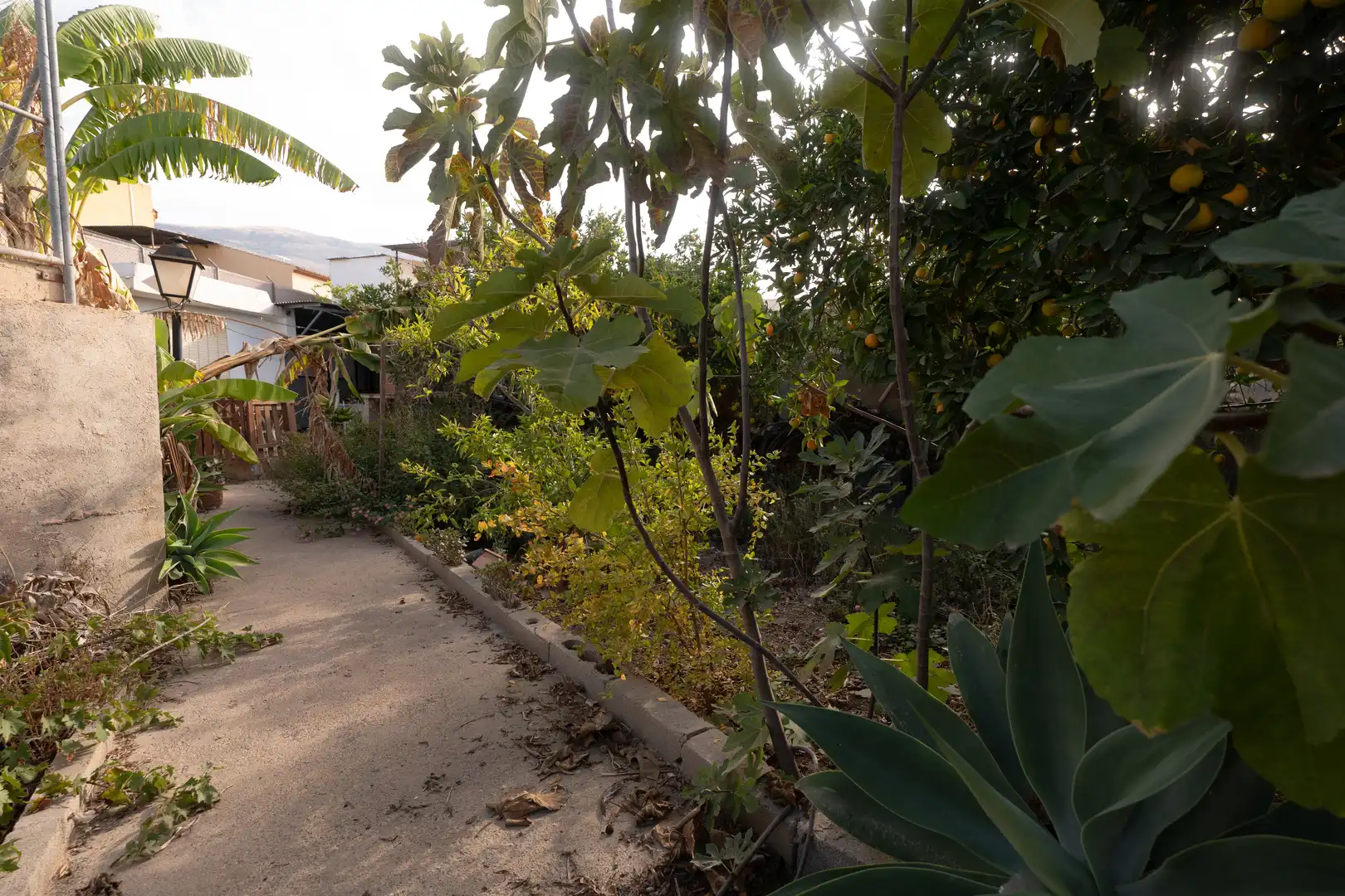 Casa o chalet en venta en Calle Llano de Vilches, 29, Berja
