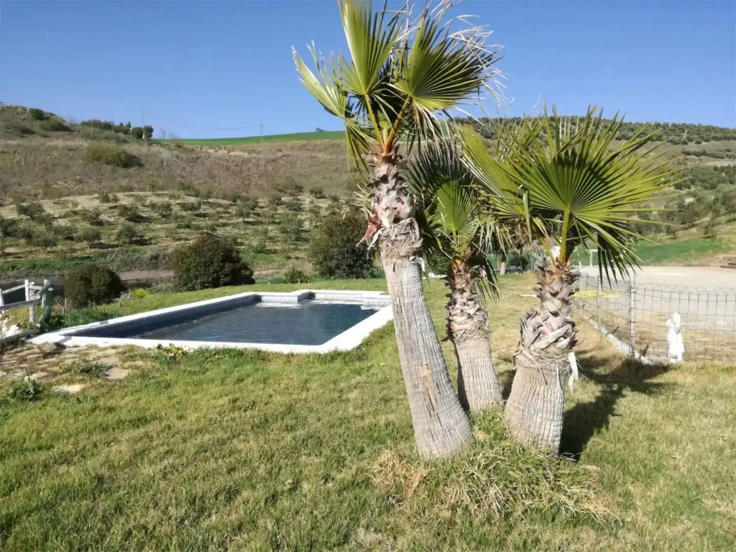 Schwimmbecken von Country house zum Verkauf in Ronda mit Schwimmbad und Balkon