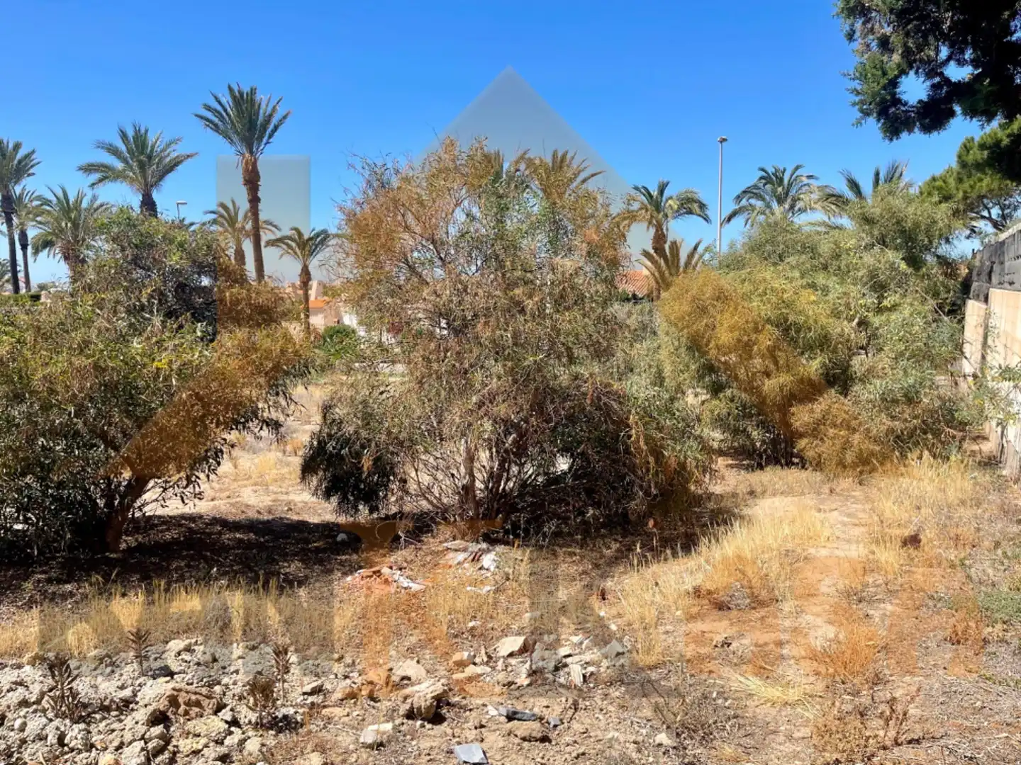 Terrenos y solares en venta en Almerimar, imagen 8