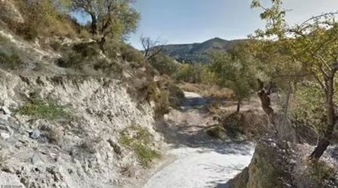 DOS PARCELAS DE REGADÍO CERCA DEL PUEBLO, immagine 2