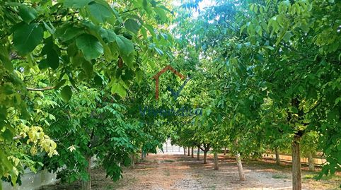 Precioso terreno agrario en Horche
