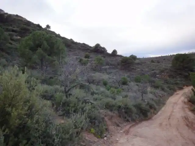 Terrenys i solars en venda a Paraje Vallota, imagen 9