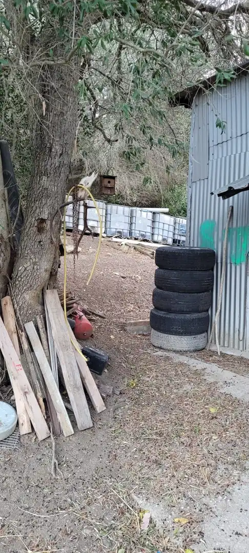 Aparcament de Finca rústica en venda en Los Barrios amb Calefacció, Jardí privat i Traster