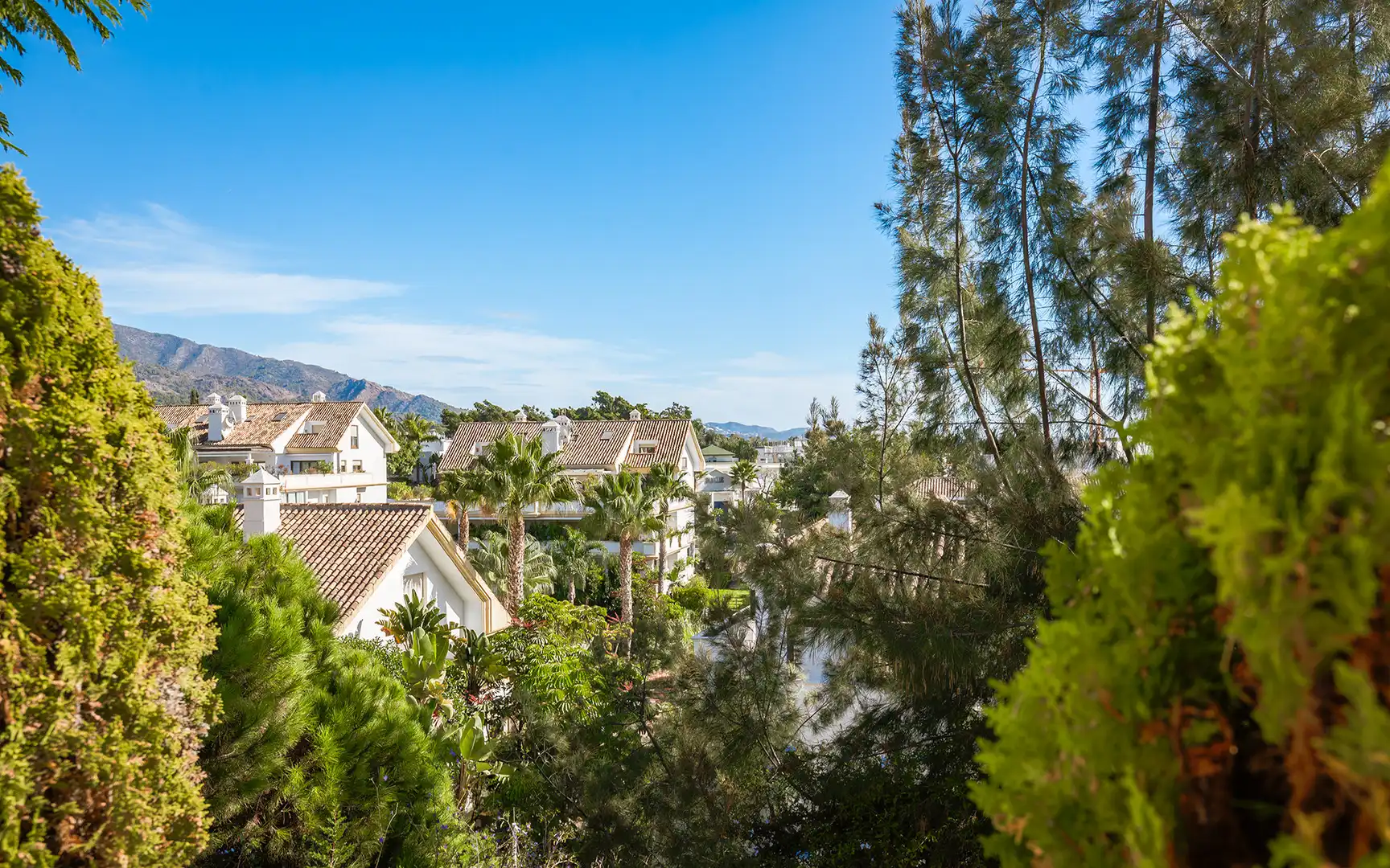 Apartament amb piscina en venda a Milla de Oro, imagen 35