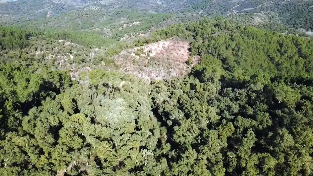 Terreni e lotti in vendita a Galaroza, imagen 5