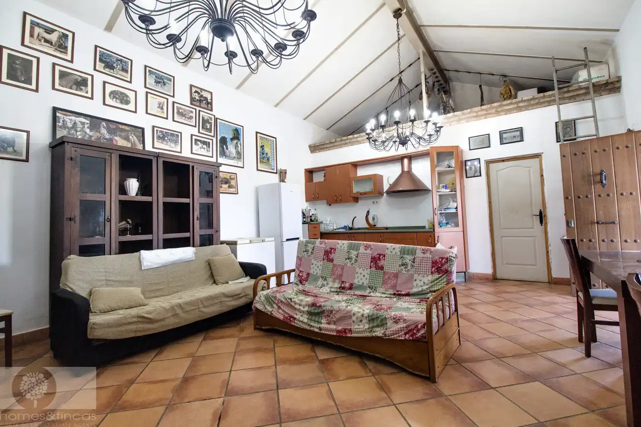 Sala de estar de Finca rústica en venta en Trigueros