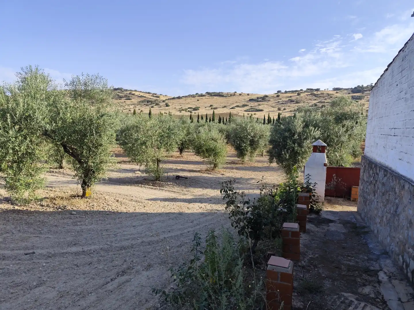 Terreno rustico in vendita a Fuente del Maestre, imagen 16