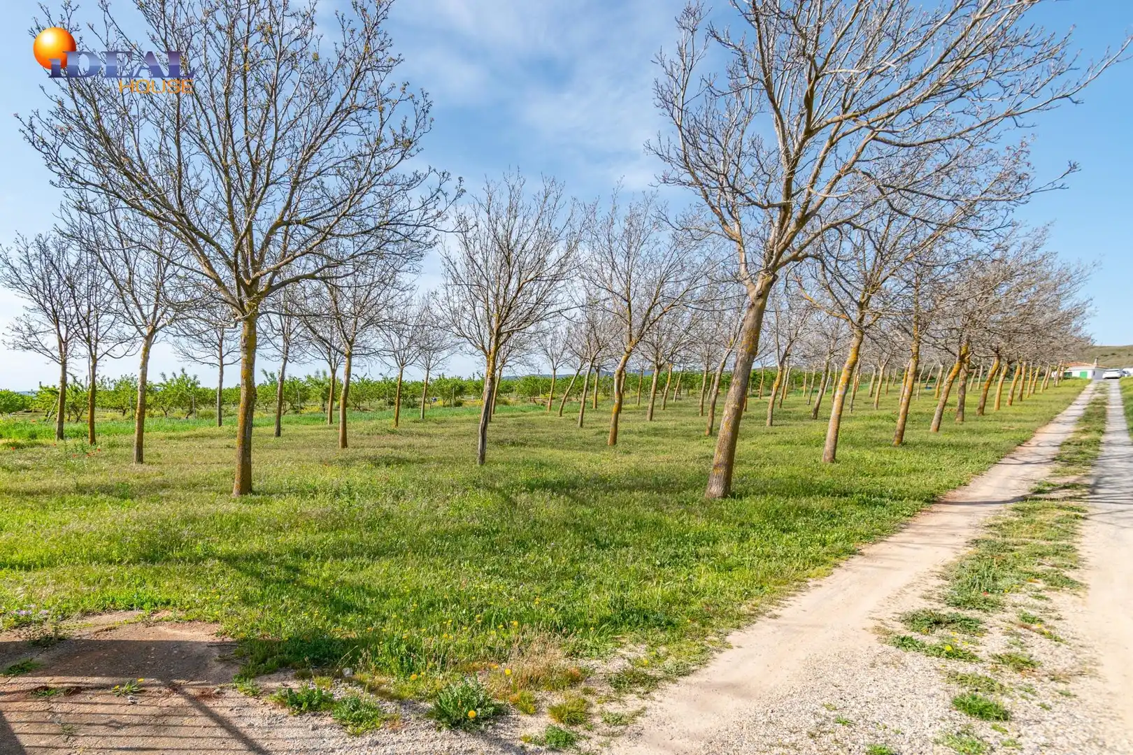 Terreni e lotti in vendita a Padul, imagen 32