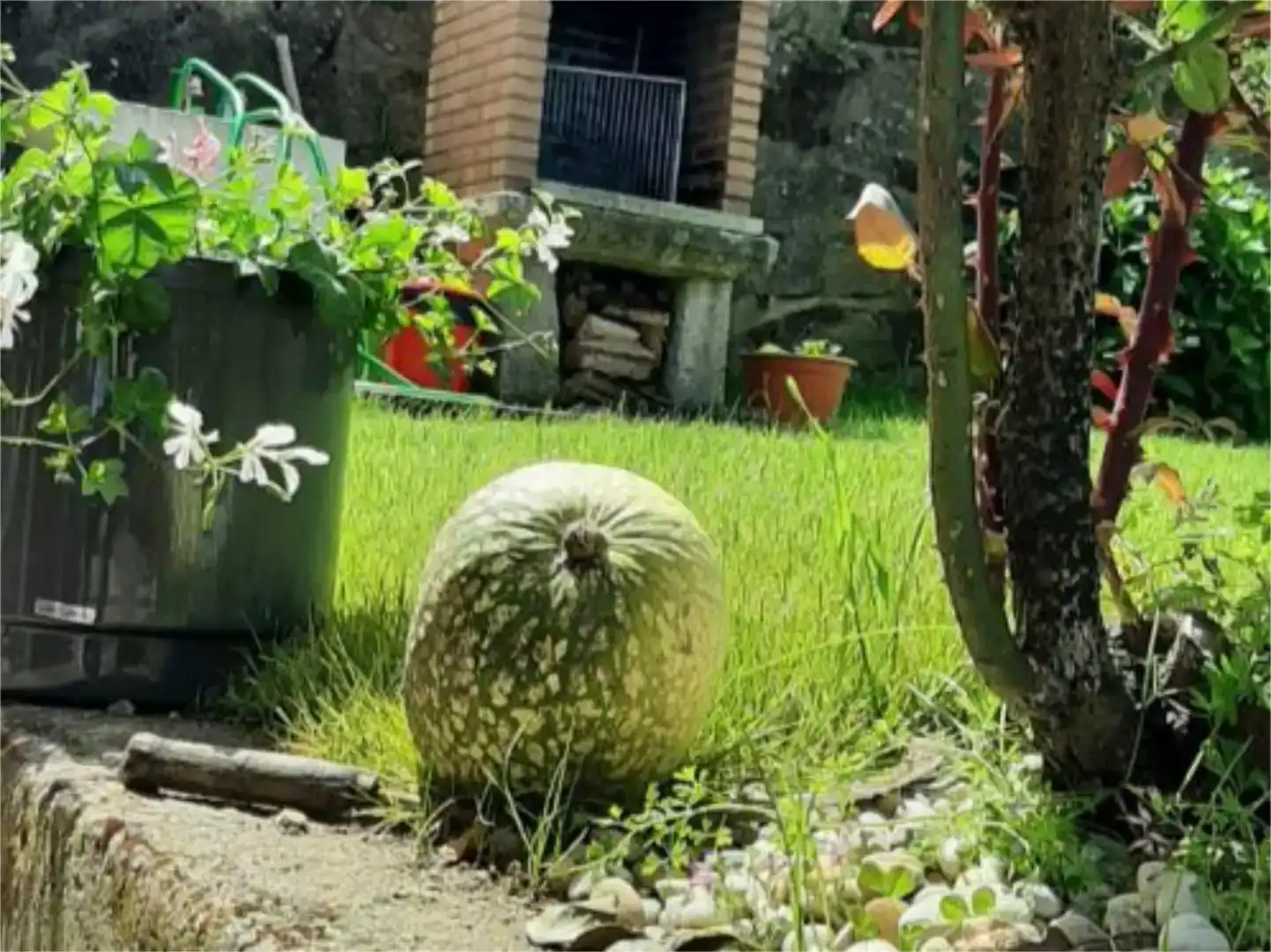 Jardí de Casa o xalet de lloguer en Porto do Son amb Jardí privat, Parquet i Moblat