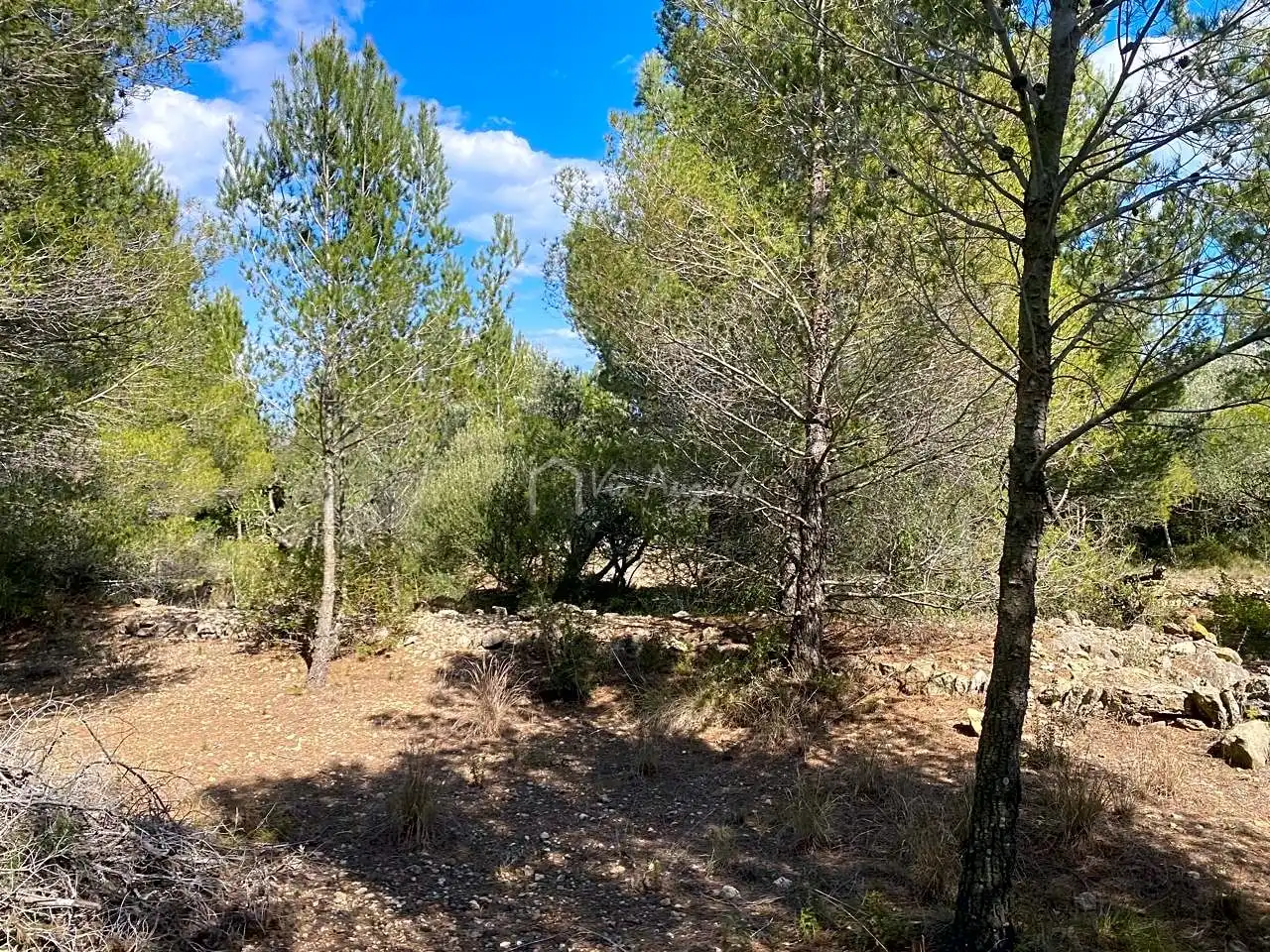 Terreno rustico in vendita a Ligallo de les Bordes, imagen 7