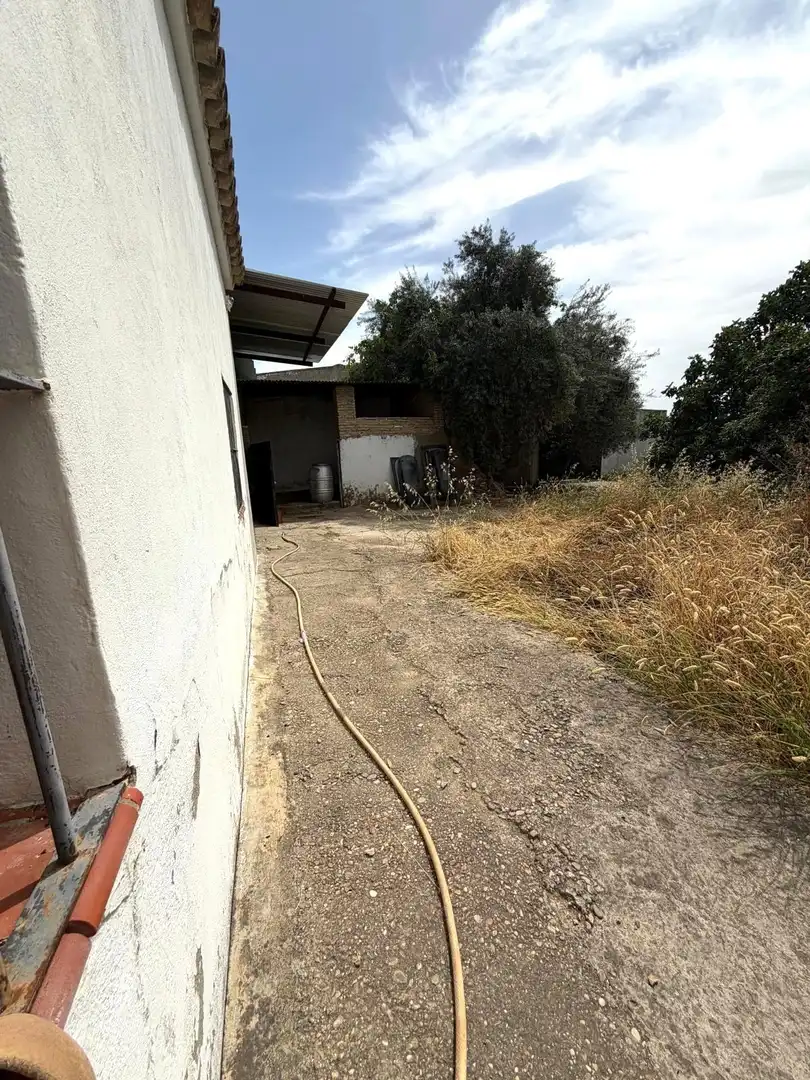 Houses for sale in Alcalá del Río