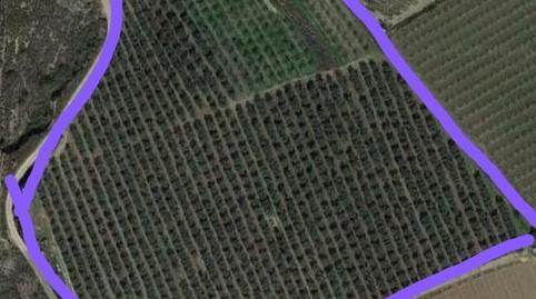 Foto 4 von Grundstücke zum Verkauf in Tossal de Monclús, Sudanell, Lleida