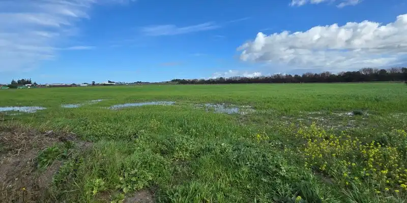 Terreni e lotti in vendita a Camino De Múnive - Reyerta, imagen 6