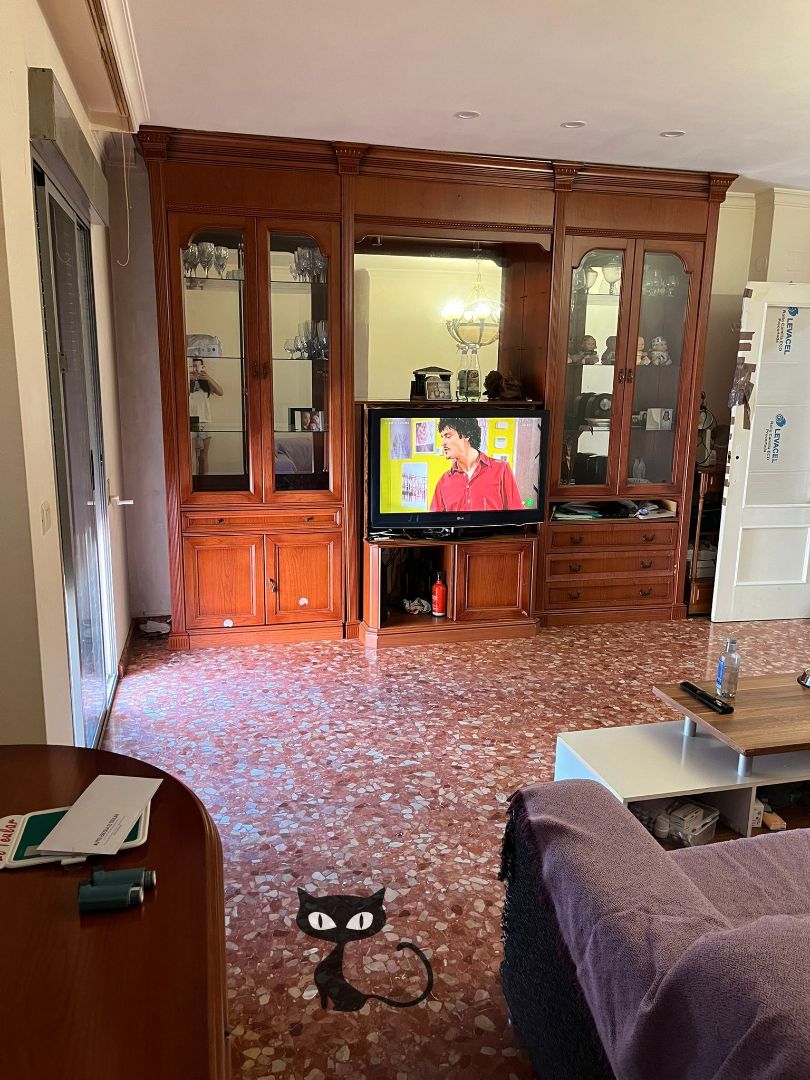 Sala d'estar de Pis en venda en Algemesí amb Aire condicionat, Calefacció i Moblat