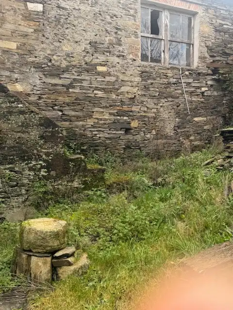 Finca rústica en venda en Grandas de Salime