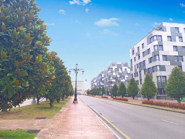 Oficina en Alquiler en Oviedo - AV FUNDAC PRINCIPE ASTURIAS, 6 en Parque San Francisco - Uría