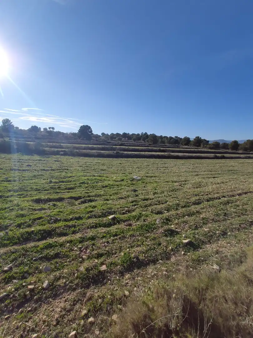 Terreno rústico en venta en Monóvar  / Monòver, imagen 2