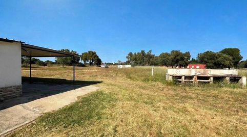 Foto 4 de Finca rústica en venta en Las Vaguadas, Badajoz Capital