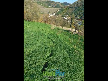 Terreny rústic en venda a Al Suspiro Del Moro