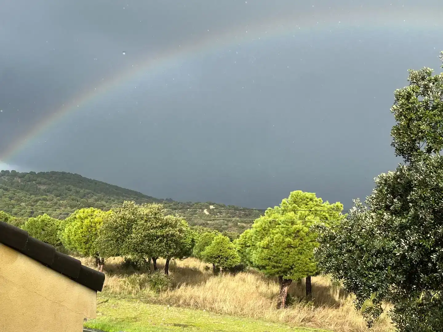 Jardí de Casa o xalet en venda en Galapagar amb Aire condicionat, Jardí privat i Traster