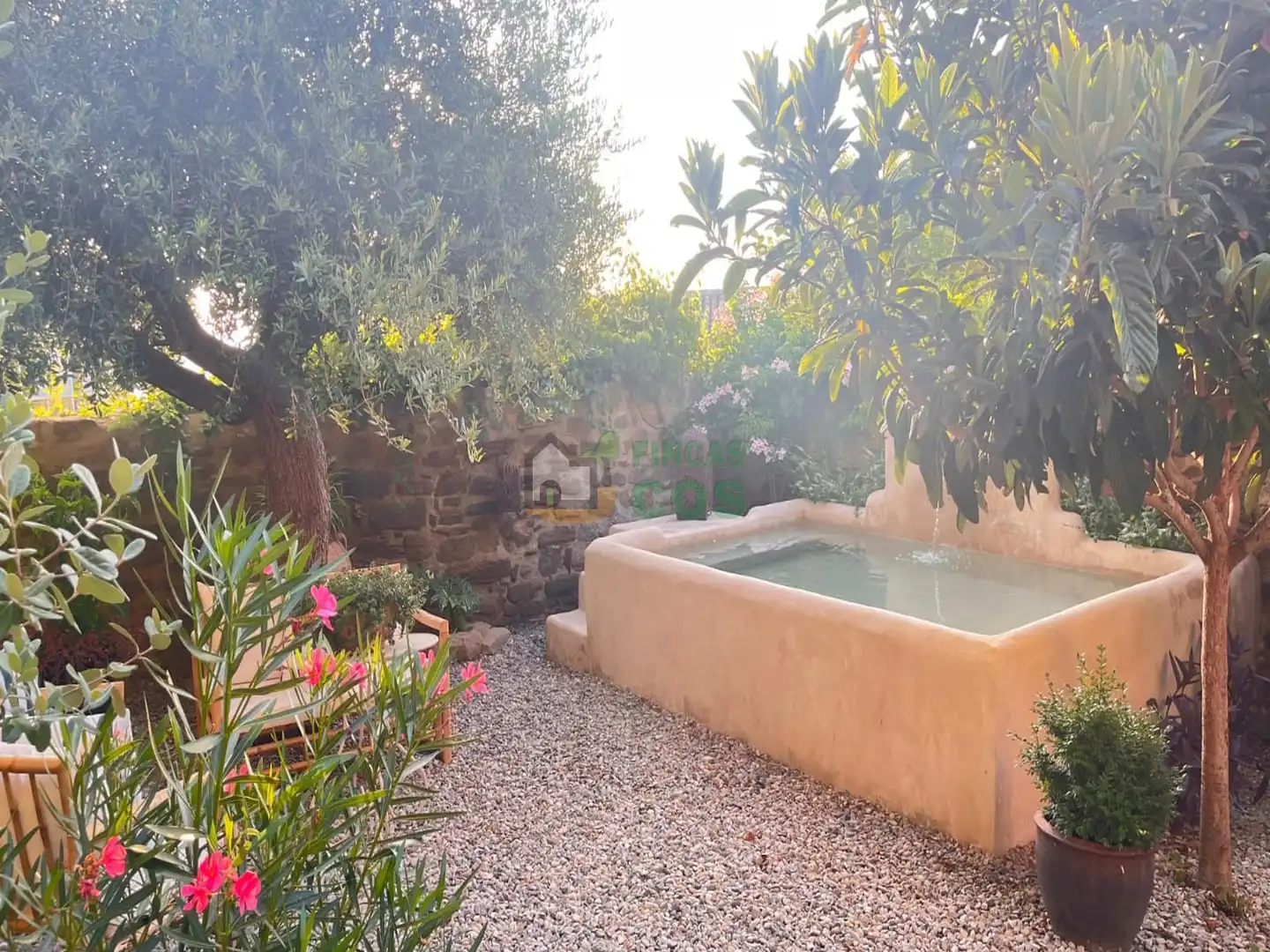 Jardín de Casa o chalet en venta en Cervera con Jardín privado, Terraza y Piscina